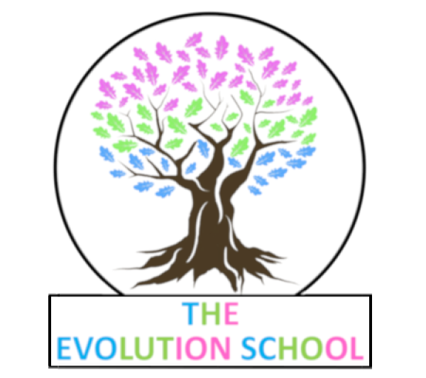 Evolution School Image